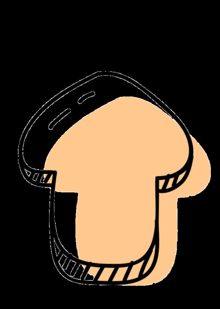 “云”賞花!踏春不出門,我們把春日浪漫送給你~ “云”賞花!踏春不出門,我們把春日浪漫送給你~