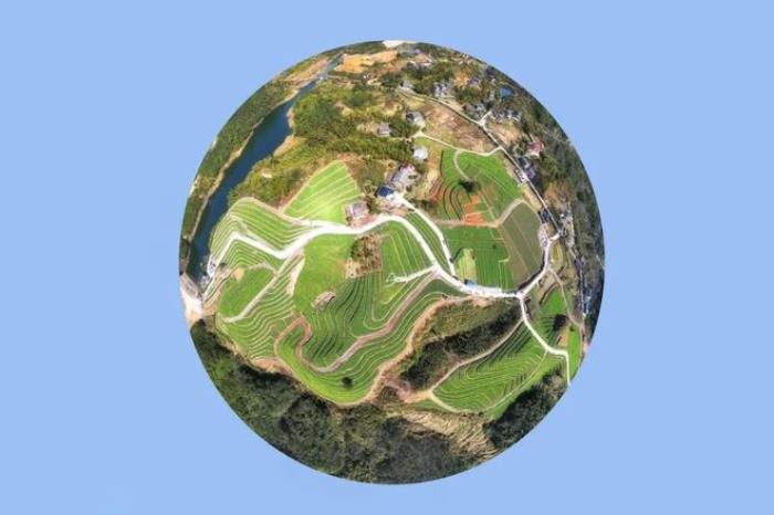 “云”賞花!踏春不出門,我們把春日浪漫送給你~ “云”賞花!踏春不出門,我們把春日浪漫送給你~