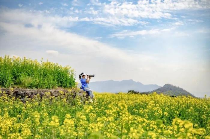 “云”賞花!踏春不出門,我們把春日浪漫送給你~ “云”賞花!踏春不出門,我們把春日浪漫送給你~