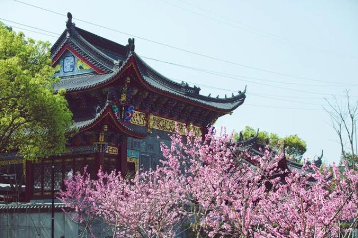 “云”賞花!踏春不出門,我們把春日浪漫送給你~ “云”賞花!踏春不出門,我們把春日浪漫送給你~