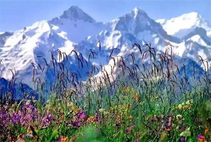 去新疆,看世界的風景 去新疆,看世界的風景