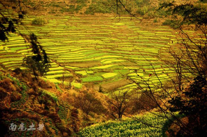 別來找我 我要去婺源掃黃了 別來找我 我要去婺源掃黃了