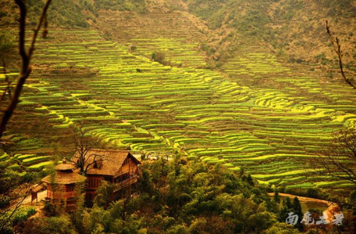 別來找我 我要去婺源掃黃了 別來找我 我要去婺源掃黃了