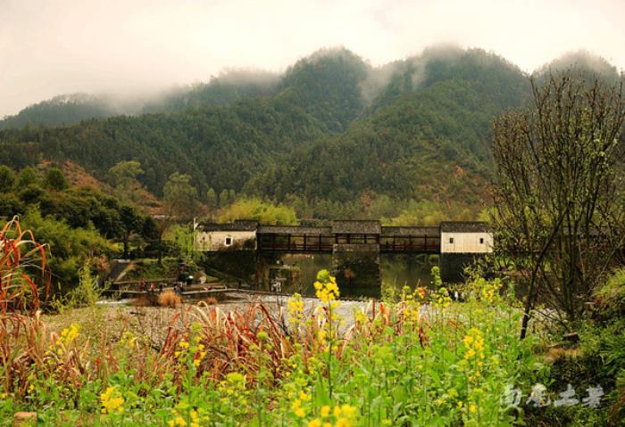 別來找我 我要去婺源掃黃了 別來找我 我要去婺源掃黃了