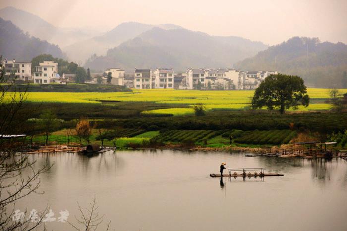 別來找我 我要去婺源掃黃了 別來找我 我要去婺源掃黃了