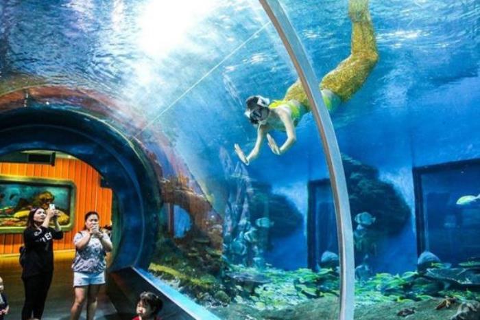 武漢東湖海洋世界可以帶吃的進去嗎 武漢東湖海洋世界可以帶吃的進去嗎