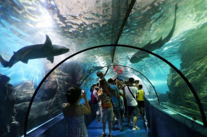 武漢東湖海洋世界沒帶身份證可以進去嗎