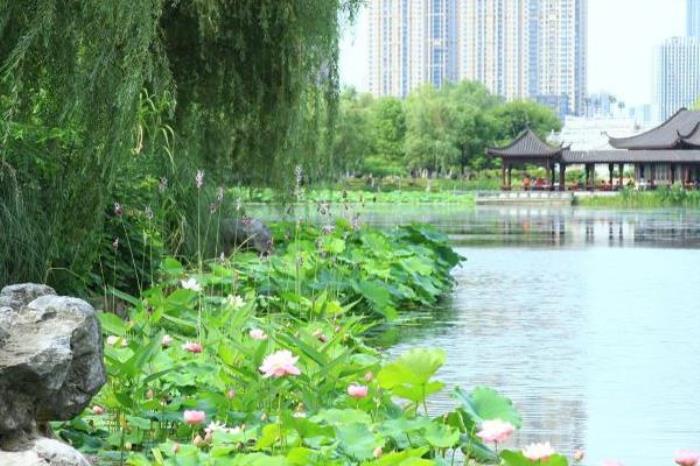 武漢沙湖公園門票多少錢 武漢沙湖公園門票多少錢