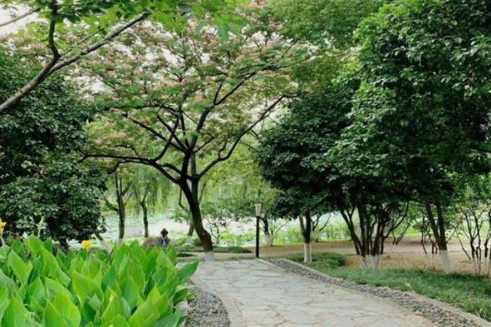 武漢沙湖公園門票多少錢 武漢沙湖公園門票多少錢