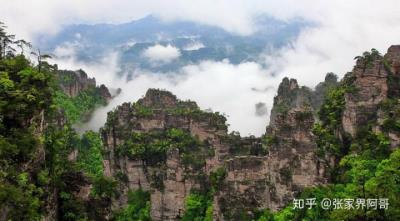 張家界旅游不請套路的實在私人導游的費用是