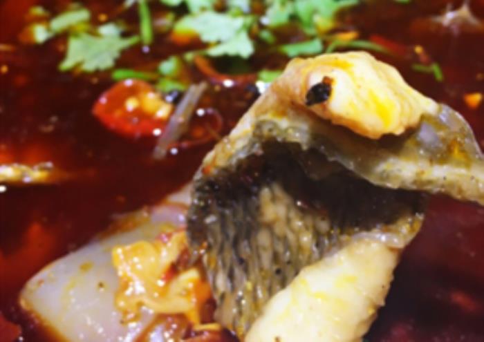 重慶哪家魚火鍋最好吃 重慶哪家魚火鍋最好吃