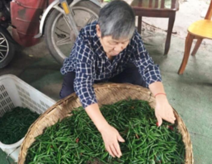 重慶哪家魚火鍋最好吃 重慶哪家魚火鍋最好吃