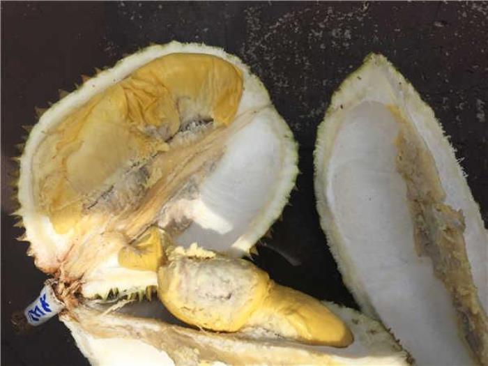 馬來西亞有什么好吃的 馬來西亞有什么好吃的