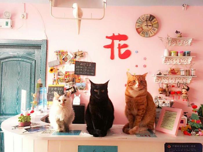 西安有什么好吃的 西安有什么好吃的