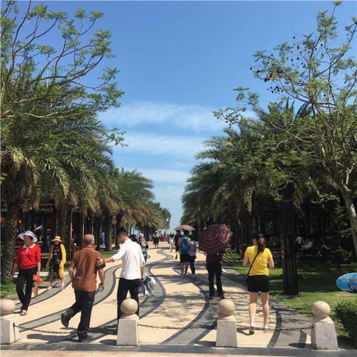 東山島旅游攻略 東山島旅游攻略