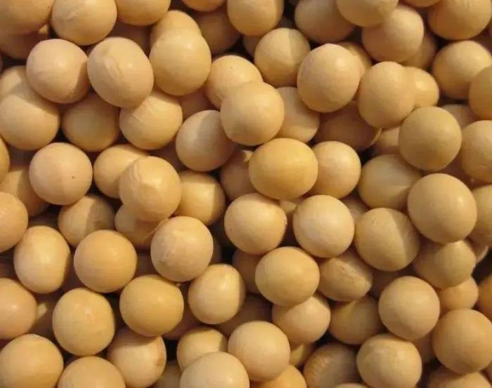 黑河有哪些土特產