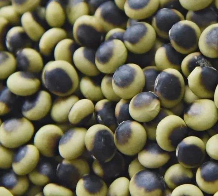 黑河有哪些土特產