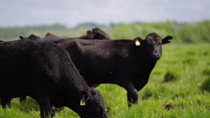 黑河有哪些土特產