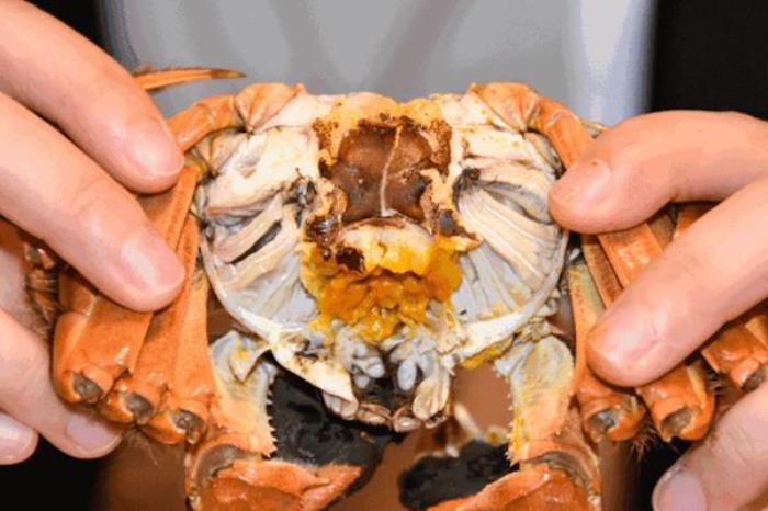 常州冬季有哪些好吃的美食推薦