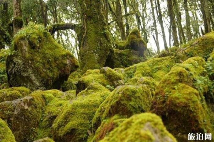 攀西大裂谷格薩拉生態(tài)旅游區(qū) 攀西大裂谷格薩拉生態(tài)旅游區(qū)