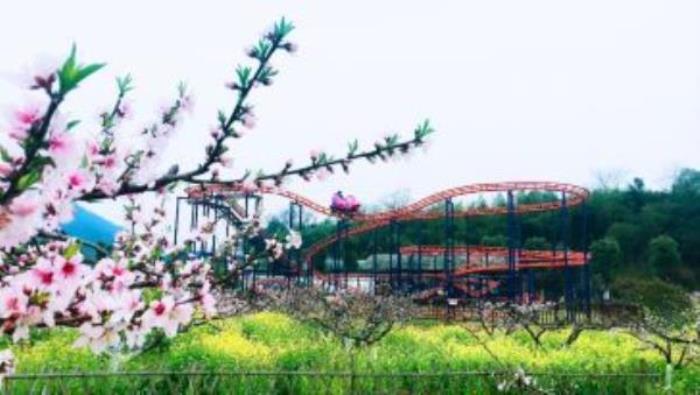 田園嘉樂比樂園 田園嘉樂比樂園