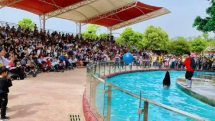 田園嘉樂比樂園 田園嘉樂比樂園