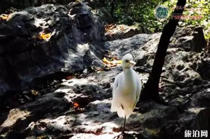 桂林疊彩山景區(qū) 桂林疊彩山景區(qū)