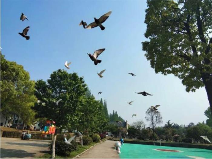 綠野山居景區 綠野山居景區