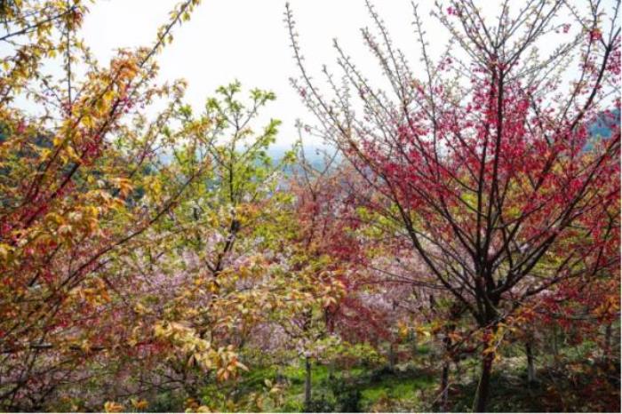 綠野山居景區 綠野山居景區