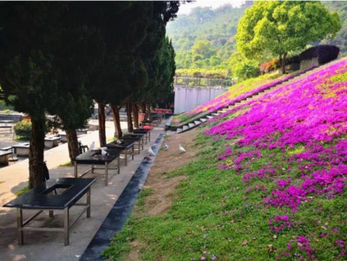 綠野山居景區 綠野山居景區