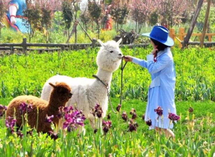 綠野山居景區 綠野山居景區