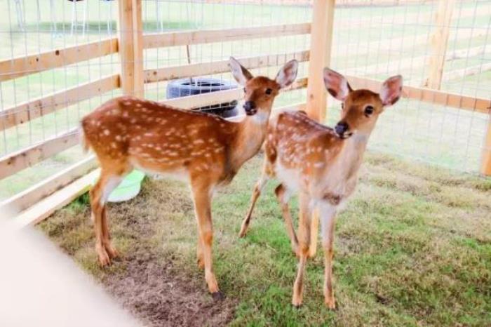 綠野山居景區 綠野山居景區