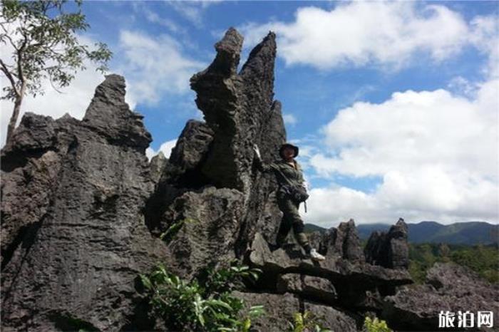 仙安石林 仙安石林