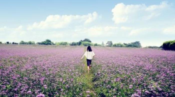 嘉興梅花洲 嘉興梅花洲