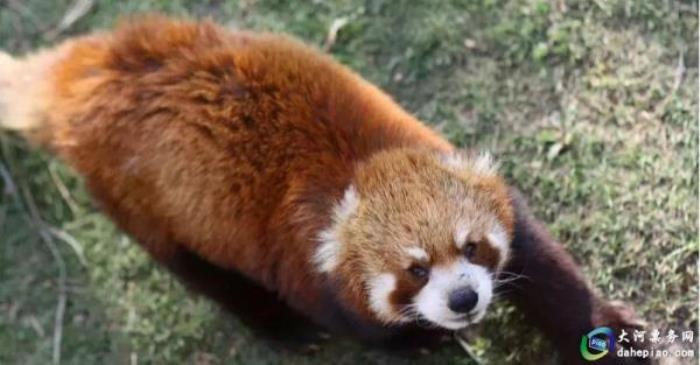 泉州海絲野生動物世界 泉州海絲野生動物世界