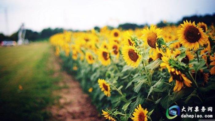 泉州海絲野生動物世界 泉州海絲野生動物世界