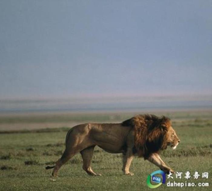 泉州海絲野生動物世界 泉州海絲野生動物世界