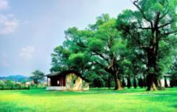 葉坪革命舊址群江西景點 葉坪革命舊址群江西景點