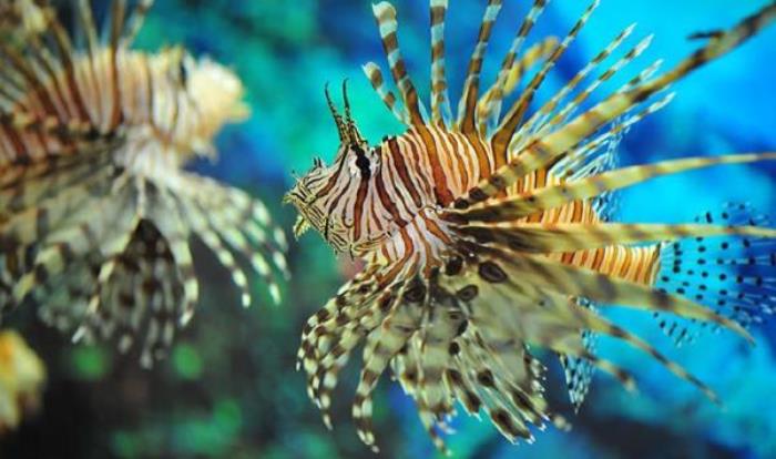 廈門海底世界 廈門海底世界