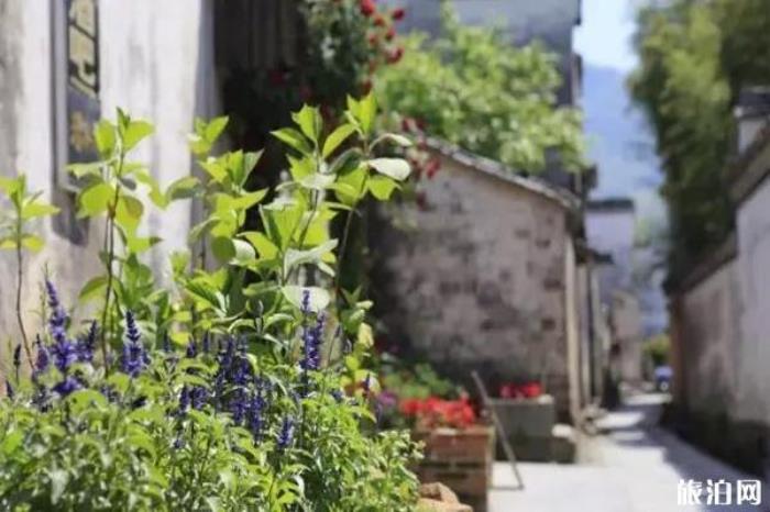 黟縣打鼓嶺景區 黟縣打鼓嶺景區