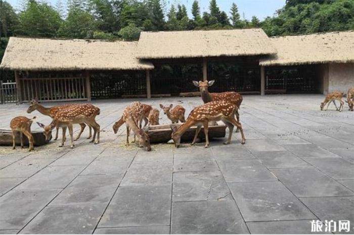 金沙遺址博物館 金沙遺址博物館