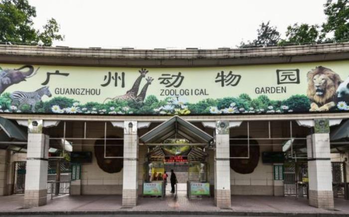 廣州動物園 廣州動物園