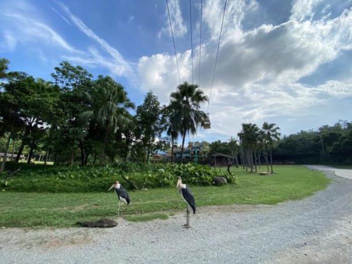 廣州動物園 廣州動物園