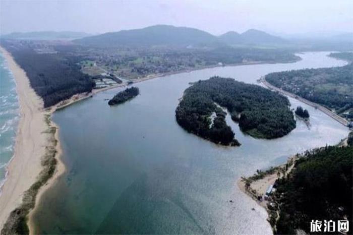 吊羅山熱帶森林 吊羅山熱帶森林