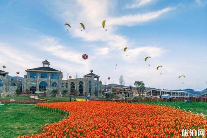涼都花海 涼都花海