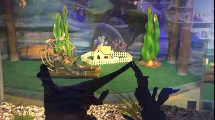 杭州-酷嗒?jiǎng)游镂幕瘶?lè)園 杭州-酷嗒?jiǎng)游镂幕瘶?lè)園