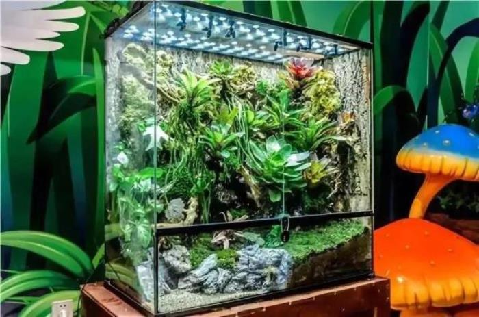 杭州-酷嗒?jiǎng)游镂幕瘶?lè)園 杭州-酷嗒?jiǎng)游镂幕瘶?lè)園