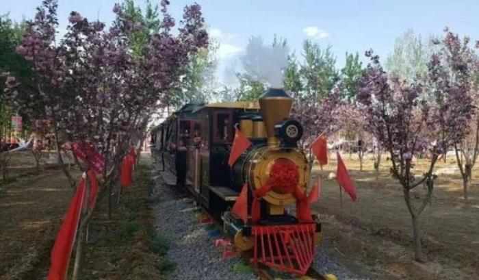 正定古城櫻花小鎮(zhèn) 正定古城櫻花小鎮(zhèn)