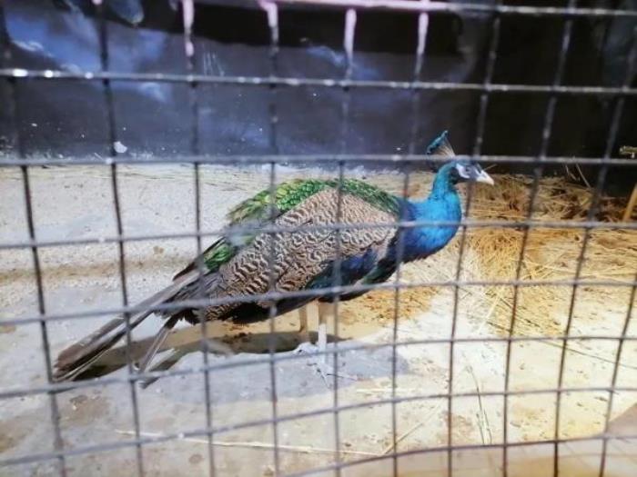 杭州-酷嗒?jiǎng)游镂幕瘶?lè)園 杭州-酷嗒?jiǎng)游镂幕瘶?lè)園