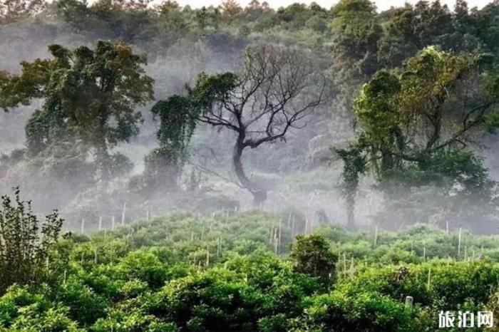 桂林漓江逍遙湖景區(qū) 桂林漓江逍遙湖景區(qū)
